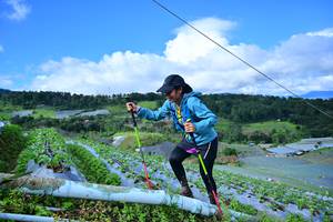 BIB: 147
                            <button type="button" onclick="openModal(13380319)" class="btn btn-primary btn-sm float-right btn-popup" data-toggle="modal" data-target=".modal-high-quality">
                        <i class="fas fa-shopping-cart"></i> Add to Cart
                    </button>
                                            <button type="button" onclick="isThisMe(13380319, true)" class="btn btn-success btn-sm float-right btn-popup btn-isme hidden" data-toggle="tooltip" data-placement="bottom" title="นี่คือรูปของคุณใช่ไหม คลิกที่นี่เพื่อเอาเข้าอัลบั้ม">
                        <i class="fas fa-plus"></i> Add to album
                    </button>
                    <button type="button" onclick="isThisMe(13380319, false)" class="btn btn-warning btn-sm float-right btn-popup btn-isnotme hidden">
                        <i class="fas fa-ban"></i> Remove from album
                    </button>